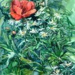 "Ромашки и мак", Перевощикова Ю.Е.