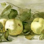 "Яблоки", Горюнова О.А.