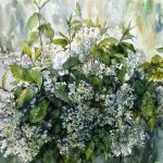 "Черемуха", Перевощикова Ю.Е.