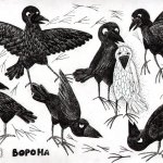 "Белая ворона", Сорокина Ирина