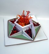 Костер славы